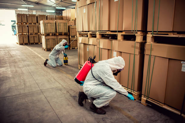 Trusted Manteca, CA Pest Control Experts