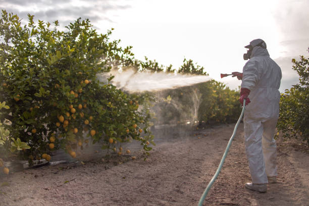 Best Mosquito Control Services  in Mante, CA