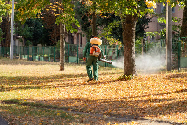 Wasp Removal Services in Manteca, CA