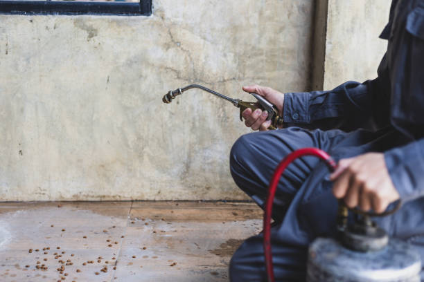 Best Exterminator Services  in Mante, CA